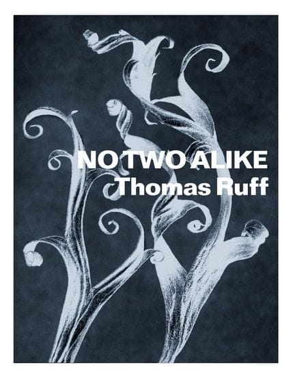 Ruff Thomas No Two Alike : Karl Blossfeldt, Franci