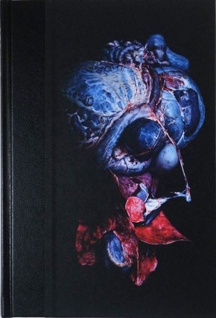 Costilhes Cyril Grand Circle Diego (2014). Enfouie