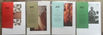 Zine Collection [Bessard]  4 volumes (n°20/21/25/2