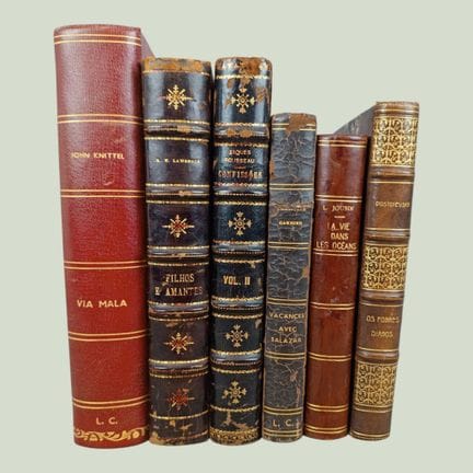 FOREIGN LITERATURE Six different works, one of whi