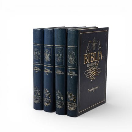 BIBBIA ILLUSTRATA - Set di libri della collana "Bi