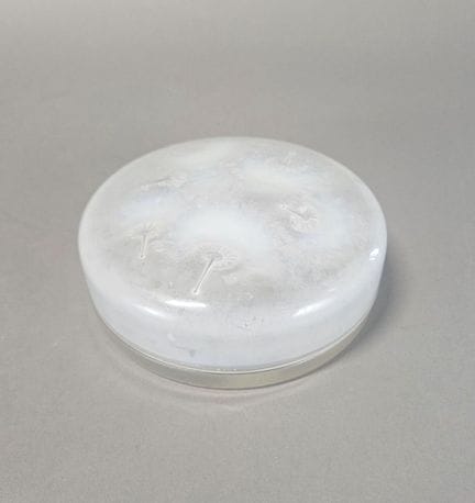 René LALIQUE (1860-1945)
Scatola portacaramelle di