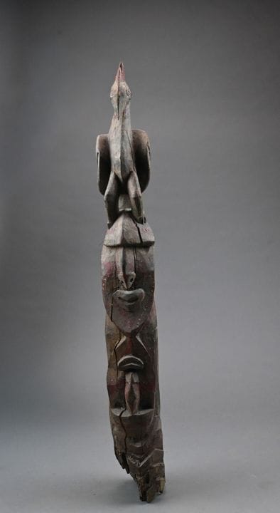 ABELAM, WASHKUK-BERGE, PAPUA-NEUGUINEA
Ehemaliger 