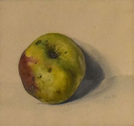 Apfel   Unbekannt 19. Jh. Aquarell. R. u. undeutli