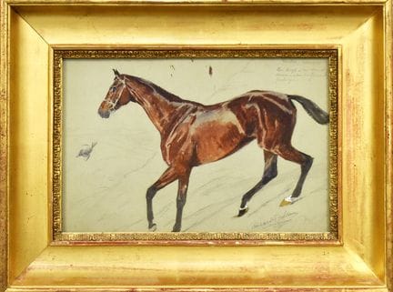 Pferdestudie   Adam, Richard Benno 1873 München - 