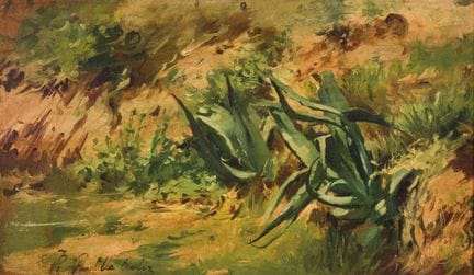 弗朗西斯科·普拉迪利亚·奥尔蒂斯（1848—1921）
木板油画。左下角有签名。感谢维弗雷多·林孔先