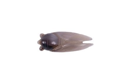 Cricket made of carved and polished stone. Japan, 