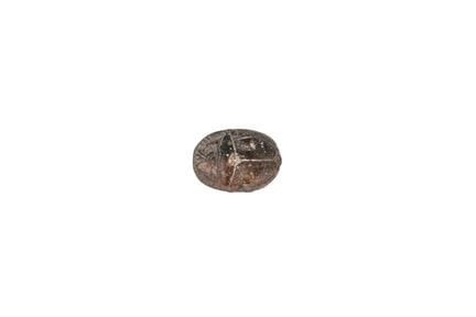 Scarab made of faience. Ancient Egypt, Late Period