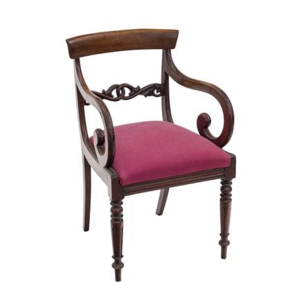 William IV armchair in mahogany. Upholstered in bu