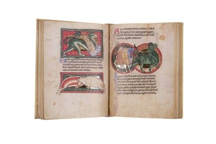 "BESTIARY OF SAINT PETERSBURG" - The original of w