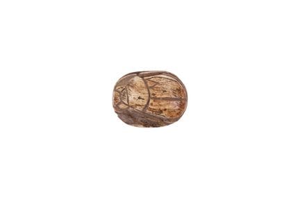 Scarab in carved steatite. Hyksos period, 1782-157