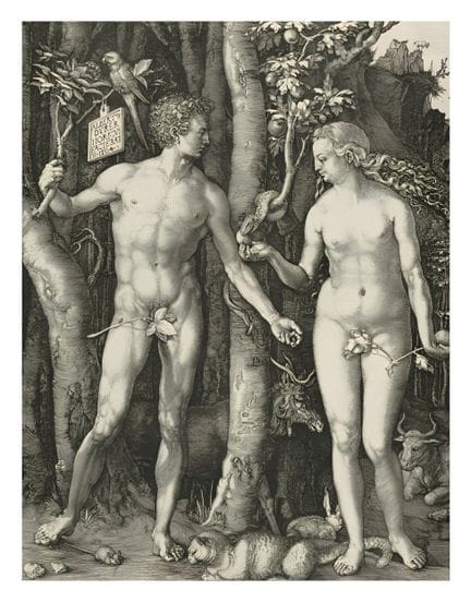 Albrecht Dürer (1471–1528) - (After) - "Adam and E