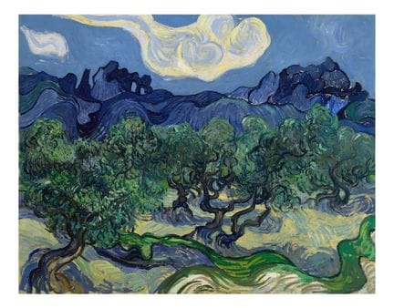 Vincent van Gogh (1853–1890), (After) - "Olive Tre