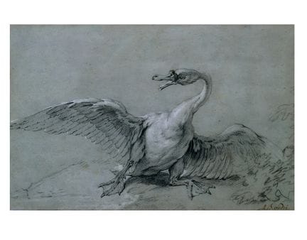 让-巴蒂斯特·乌德里（1686-1755），（据）—— 《愤怒的天鹅》  采用Fabriano Re