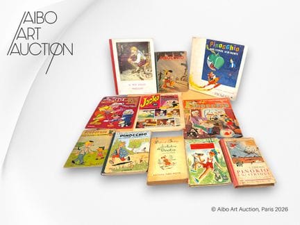 Conjunto de 11 libros:
- Álbum infantil «Le Petit 