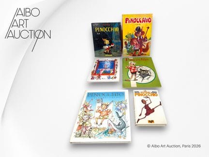 Conjunto de 6 libros:
- Álbum ilustrado de tapa du
