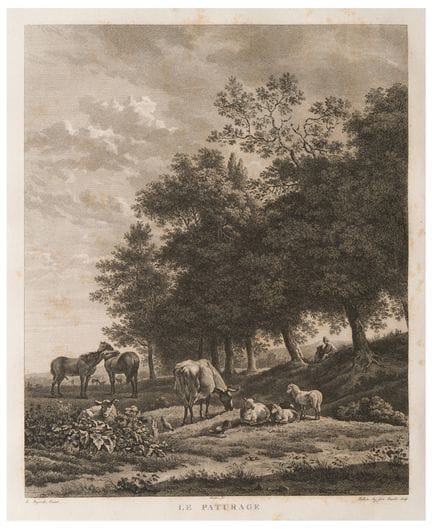 卡雷尔·杜贾尔丹（1626—1678），选自
《牧场》，1807年
纸本蚀刻版画
33.7 × 27