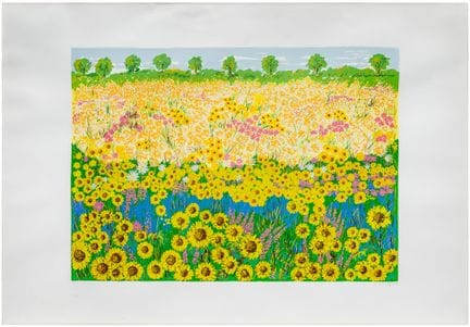 Maddalena Striglio (XX secolo)
Girasoli
serigrafia