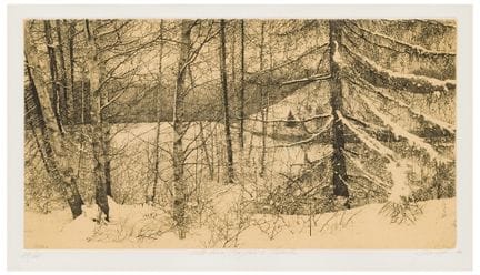 利维奥·切斯钦（1962）
雪地里，松树与桦树之间，1998
铜版蚀刻画，纸本 
26.5 × 49