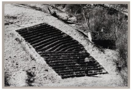 埃利奥·乔尔（1929）
《沿阿尔齐诺河》，2005
纸本胶印
35 x 51 厘米（图像尺寸）
4