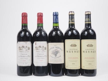 5瓶圣埃斯泰夫产区葡萄酒：2瓶奥尔姆·德·佩兹酒庄  - 1989年 - EA / 1瓶梅尔维尔酒庄