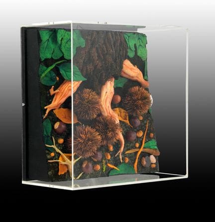 PIERO GILARDI
Roots
polyurethane foam, 30x30 cm; t