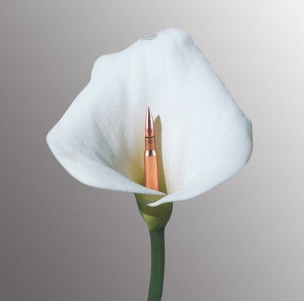PEP MARCHEGIANI
Sarajevo Flower, 2017
four-color p