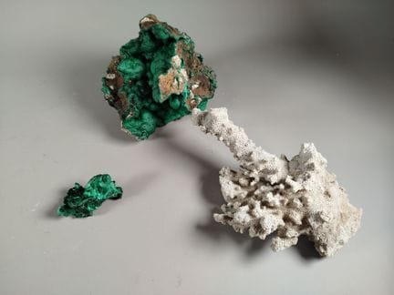Insieme di tre esemplari composto da un corallo fo