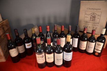 A collection of seventeen bottles of red wine from