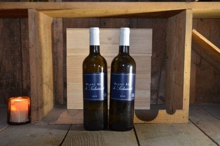 Blanc sec de Suduiraut, Bordeaux Blanc 2019, two b