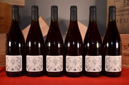 Plume Red Wine, Vin de France 2021, bottled by Aym