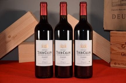 Montagne Saint-Émilion rosso Château Tour Calon Cl