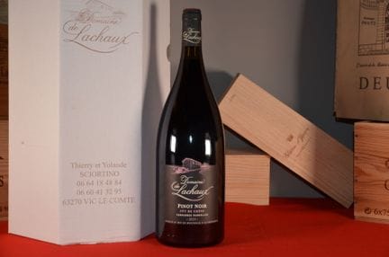 Puy-de-Dôme rosso Pinot Nero in botte di rovere Do