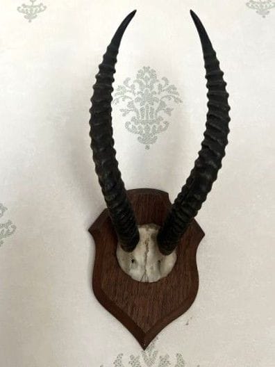 ZWEI GAZELLEN-MASSENMORDE auf einem Holzschild.
Im