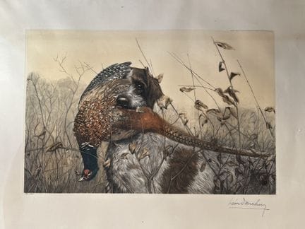 D'après Léon DANCHIN (1887-1938)
Griffon Korthal a