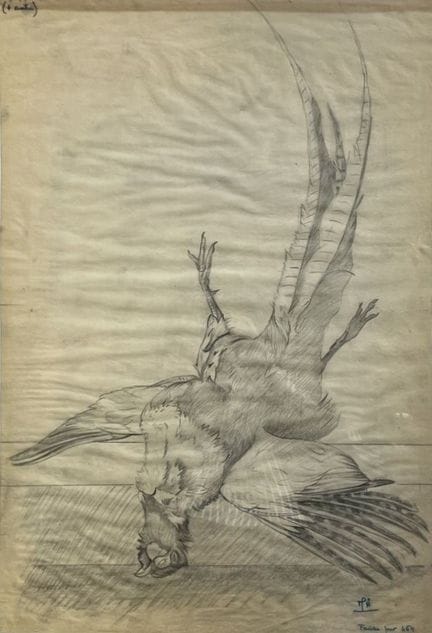 Henri de LINARES (1904-1987)
Faisan.
Étude pour N°