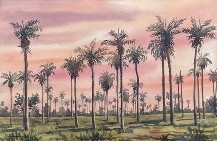 EMILI APARICI (École paraguayenne, 1936-2008) Aqua