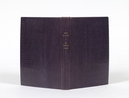 Henri MICHAUX. Un certain Plume. Paris, Éditions d