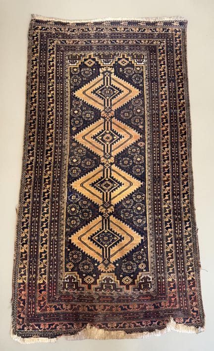 Carpet from Northwest Persia (cotton warp and weft