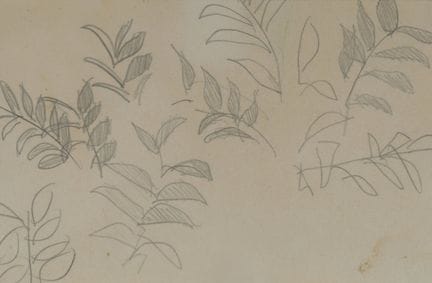 Raoul DUFY (1877–1953)
Blattwerkstudie
Bleistiftze