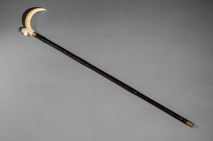 Bastone, con pomello realizzato con un dente di fa