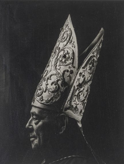 Éric POITEVIN (nato nel 1961)
Ritratto di un cardi