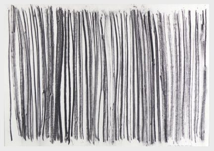 Herman de Vries – Chance &amp; Change: The Forest 