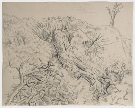Karl Hubbuch – Árbol caído 
Árbol caído

Dibujo a 