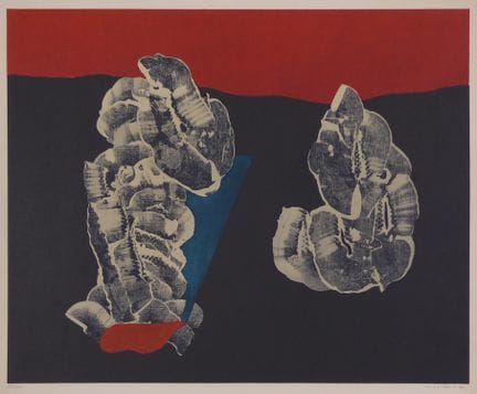 Max Ernst – Fleurs coquillages 
Fleurs coquillages