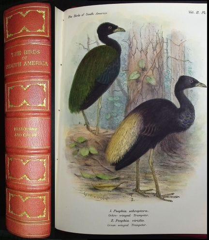 „Birds of South America“ von Brabourne, Chubb und 