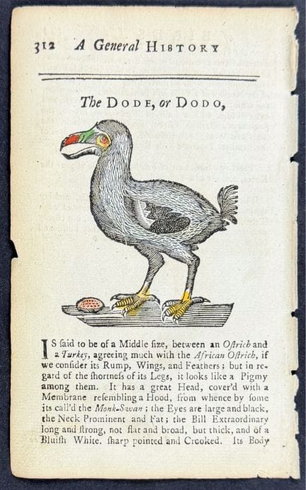 Osborn - The Dode or Dodo Bird


Description of th
