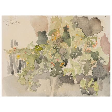 康斯坦丁·弗隆多尔（生于1936年）——《星期三。花园》（Miercuri. Grădină）*
材