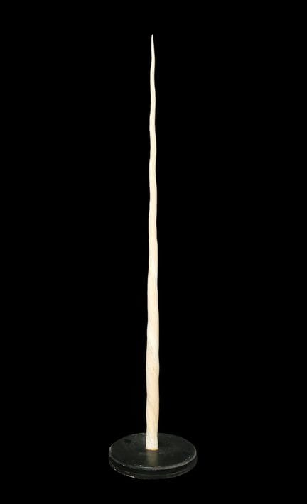 NARWAL TOOTH


Twisted tusk mounted on a circular 