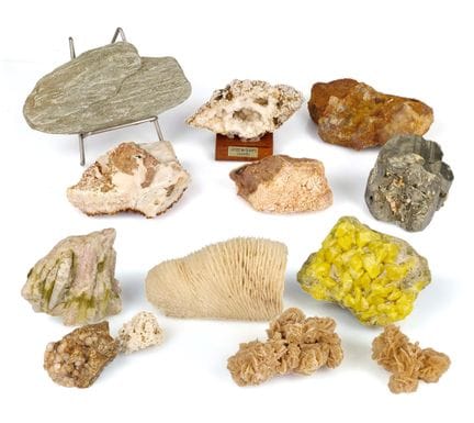 TREIZE ECHANTILLONS DE MINERAUX ET FOSSILES DE COL